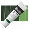 Blick Art Face And Body Paint Liquitex Heavy Body Artist Acrylics - Sap Green Permanent, 2 Oz Tube