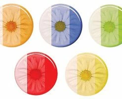 Discount 🎉 Blick Art Castin'Craft Transparent Dyes 🎁 8 Blick Art Castin'Craft Transparent Dyes