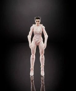 New ❤️ Hasbro Ghostbusters Plasma Series Gozer 6-Inch Action Figure 🎁 10 Hasbro Ghostbusters Plasma Series Gozer 6-Inch Action Figure