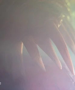 Flash Sale 🌟 Licker Life-Size Bust By PureArts Resident Evil 2 LIFE SIZED STATUES PROPS 🔔 32 Licker Life-Size Bust By PureArts Resident Evil 2 LIFE SIZED STATUES PROPS