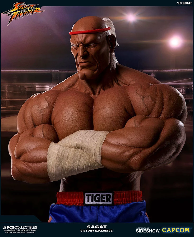 Hot Sale π PCS Collectibles Sagat Victory Statue By PCS - Street Fighter π― 9 PCS Collectibles Sagat Victory Statue By PCS - Street Fighter