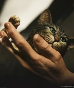 Best Sale ⌛ Hot Pop Stars And Celebrity's Vito Andolini Corleone (1972) Statue By Damtoys The Godfather ⭐ 52 Hot Pop Stars And Celebrity's Vito Andolini Corleone (1972) Statue By Damtoys The Godfather