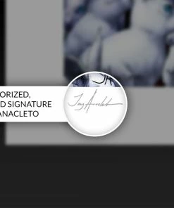 New π Art Work Murals & Prints Zatanna Fine Art Print By Artist Jay Anacleto, Art Print By Sideshow Collectibles β 9 Art Work Murals & Prints Zatanna Fine Art Print By Artist Jay Anacleto, Art Print By Sideshow Collectibles